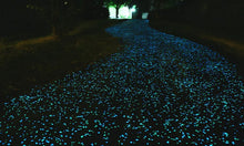 Load image into Gallery viewer, Glow in the Dark Mini Pebbles
